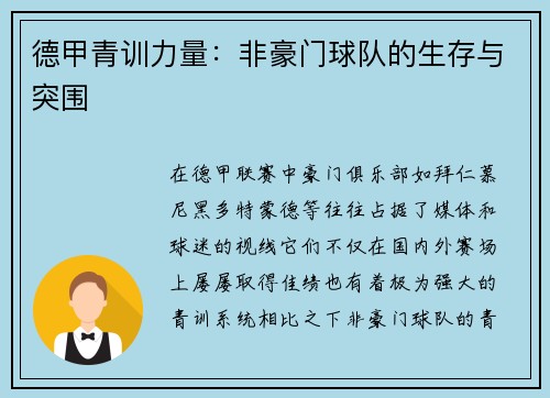 德甲青训力量：非豪门球队的生存与突围