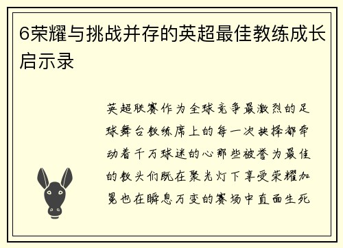 6荣耀与挑战并存的英超最佳教练成长启示录