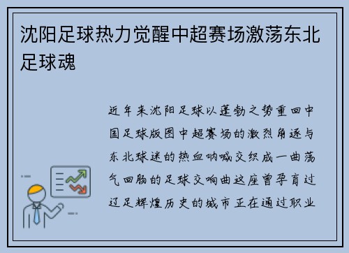 沈阳足球热力觉醒中超赛场激荡东北足球魂